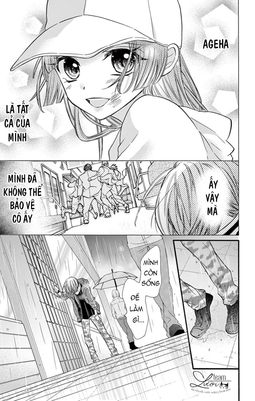 chàng rể giả nhân giả nghĩa chapter 17 6