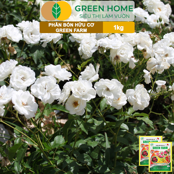 Phân Bón Hữu Cơ Green Farm, GreenHome, Gói 1kg, Chuyên Dùng Cho Cây Cảnh, Hoa Hồng