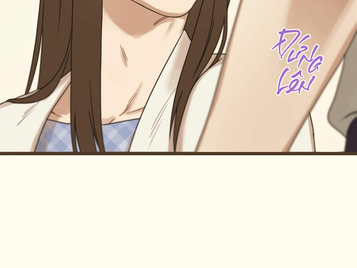 tương phùng chapter 16 233