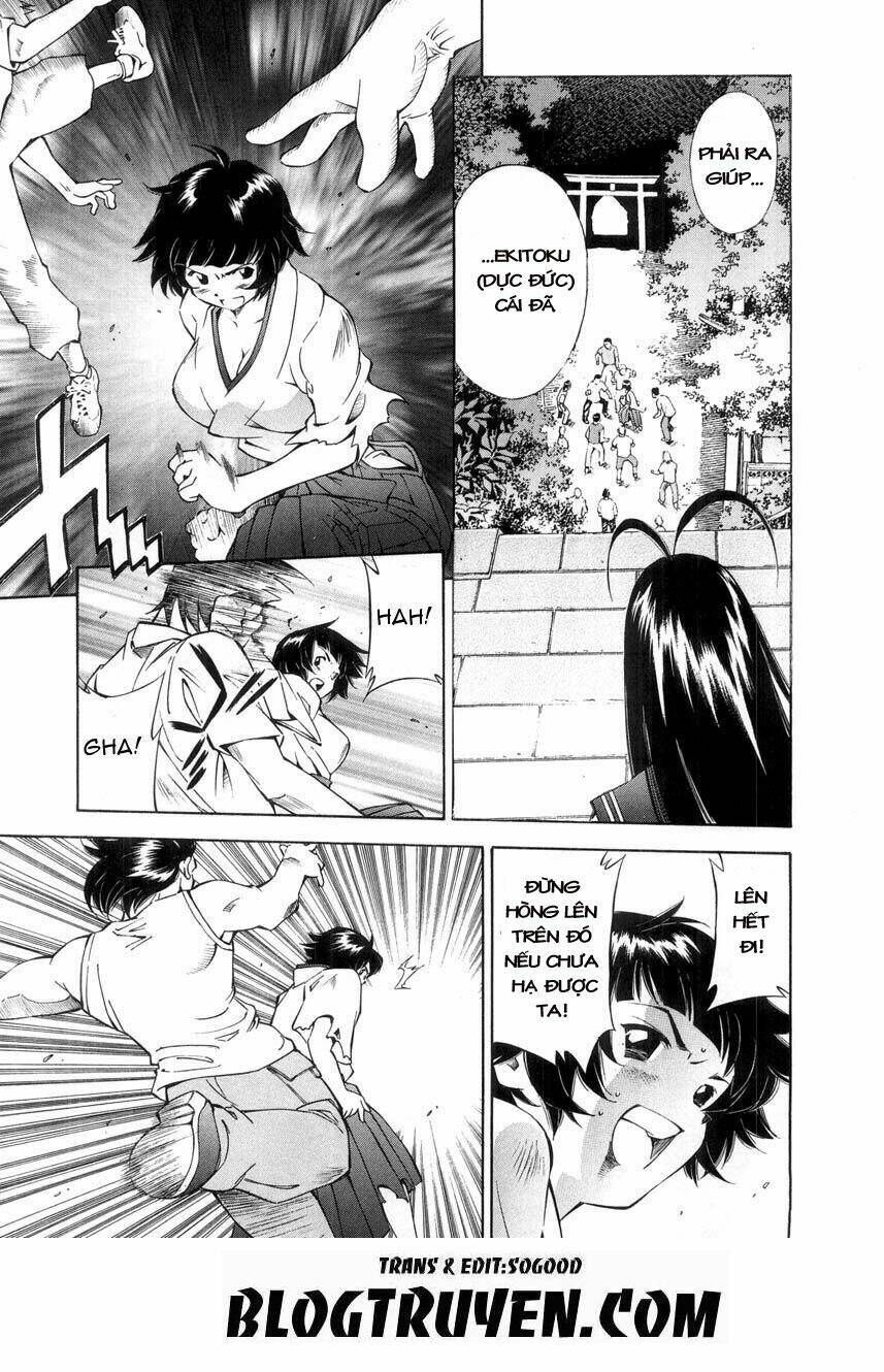 dragon girl - ikkitousen chapter 41 12