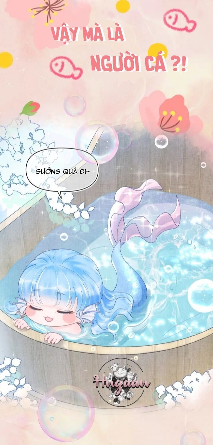 nhóc con người cá 3 tuổi rồi chapter 0.3 2