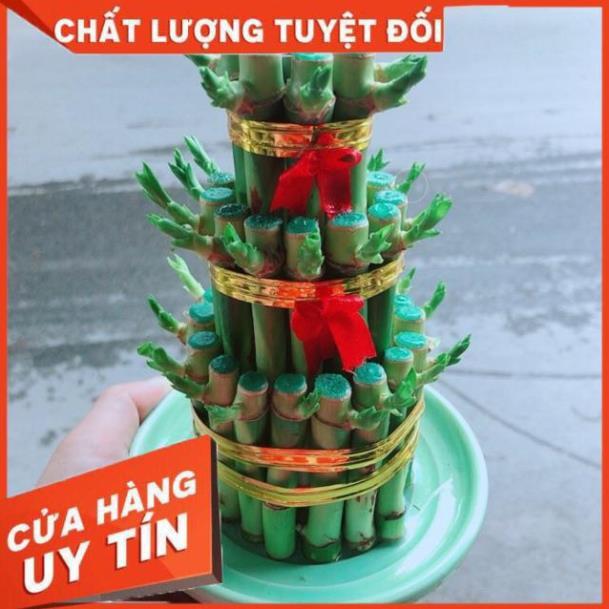 Trúc Phát Tài 3 Tầng