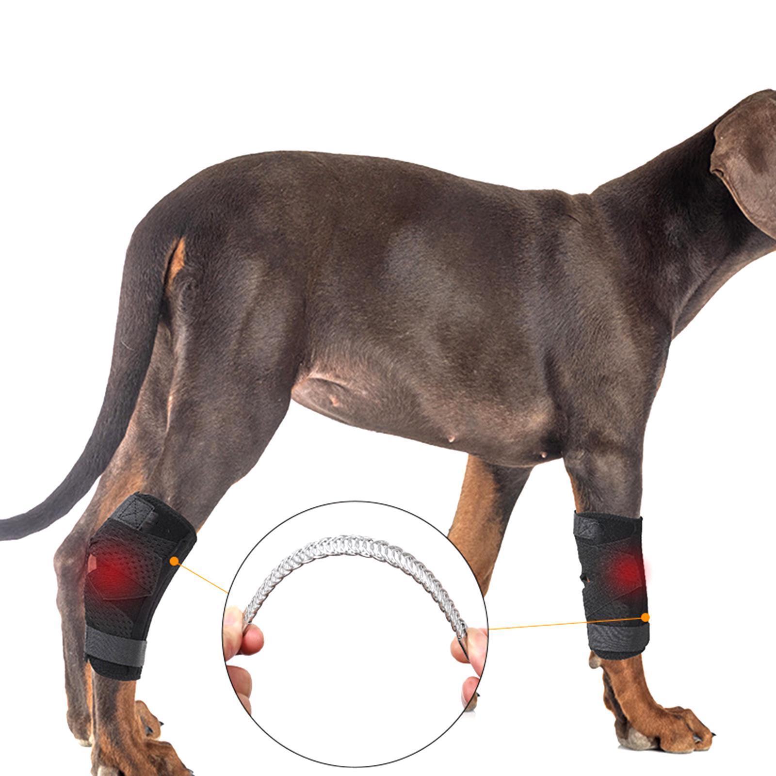 Dog Leg Brace Support Hock Joint Sleeve for Loss of Stability from