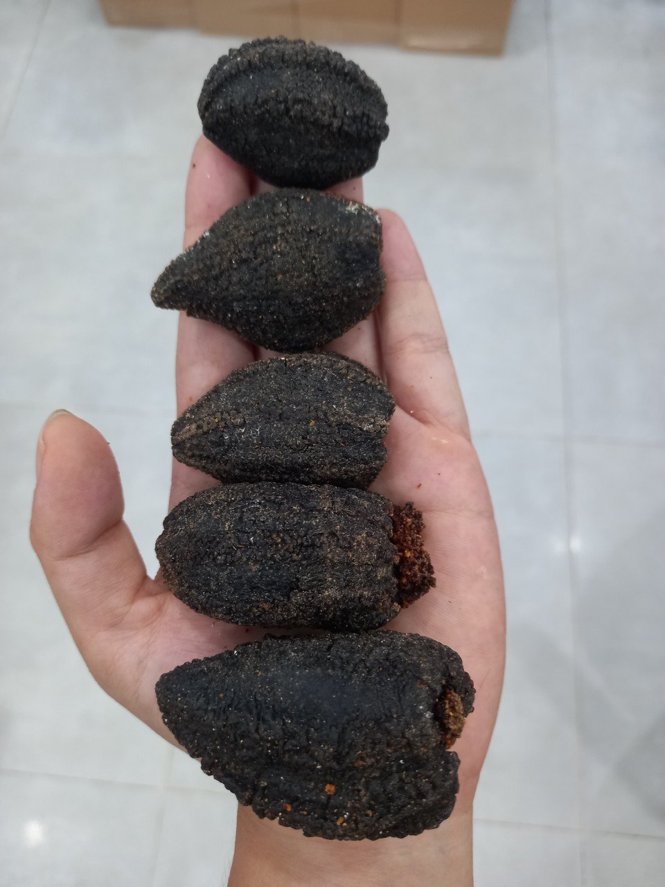 Hải sâm Canada khô - 100g