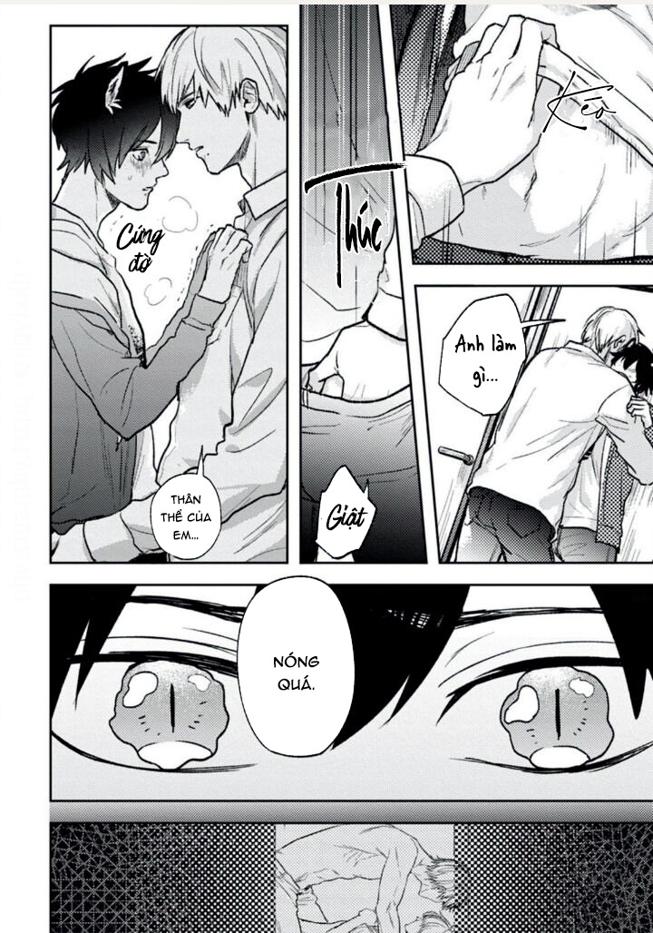 mật ngọt dã thú chapter 2 11