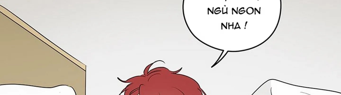 chuyện quái gì với giấc mơ đó vậy chapter 19 524