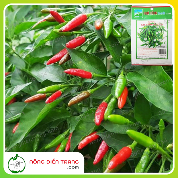 Hạt giống ớt Xiêm Phú Nông - Gói 0.1g - Dễ trồng sai trái sinh trưởng mạnh kháng bệnh tốt VTNN Nông Điền Trang
