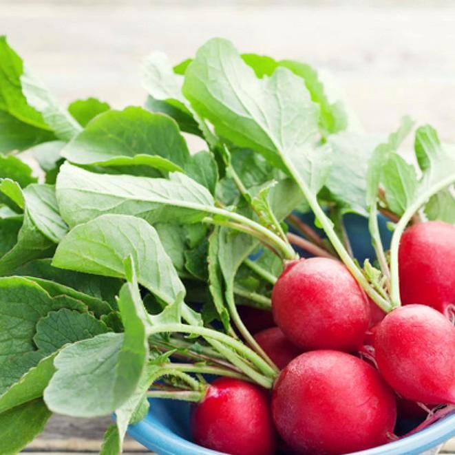 10GR - HẠT GIỐNG CỦ CẢI ĐỎ