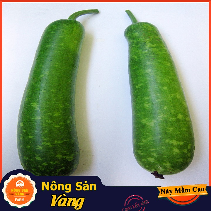 Hạt giống Bầu Dài , Bầu Sao Lai ( Gói 10 Hạt ) - Nông Sản Vàng