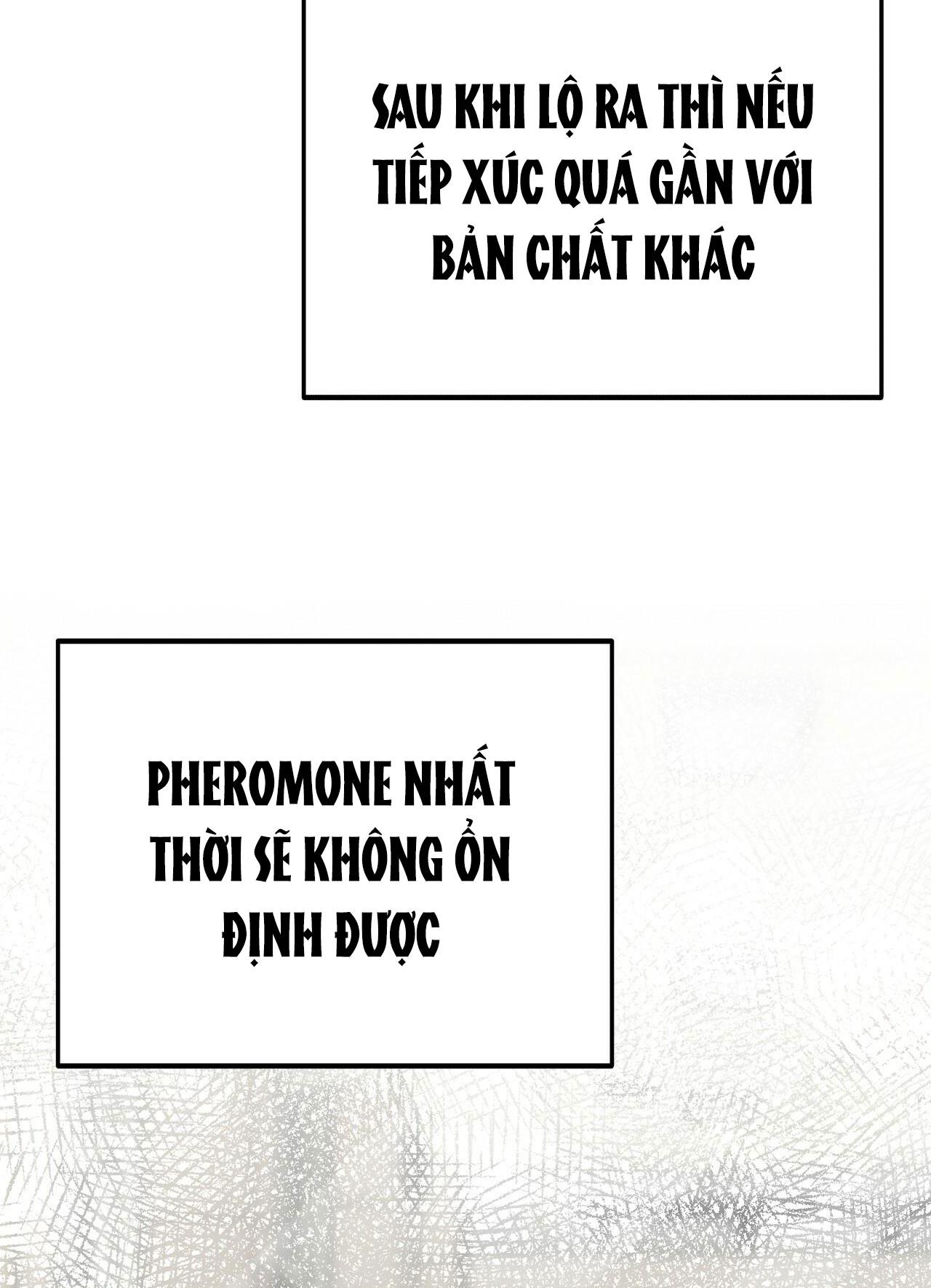 cạm bẫy đại học [m] chapter 24 24