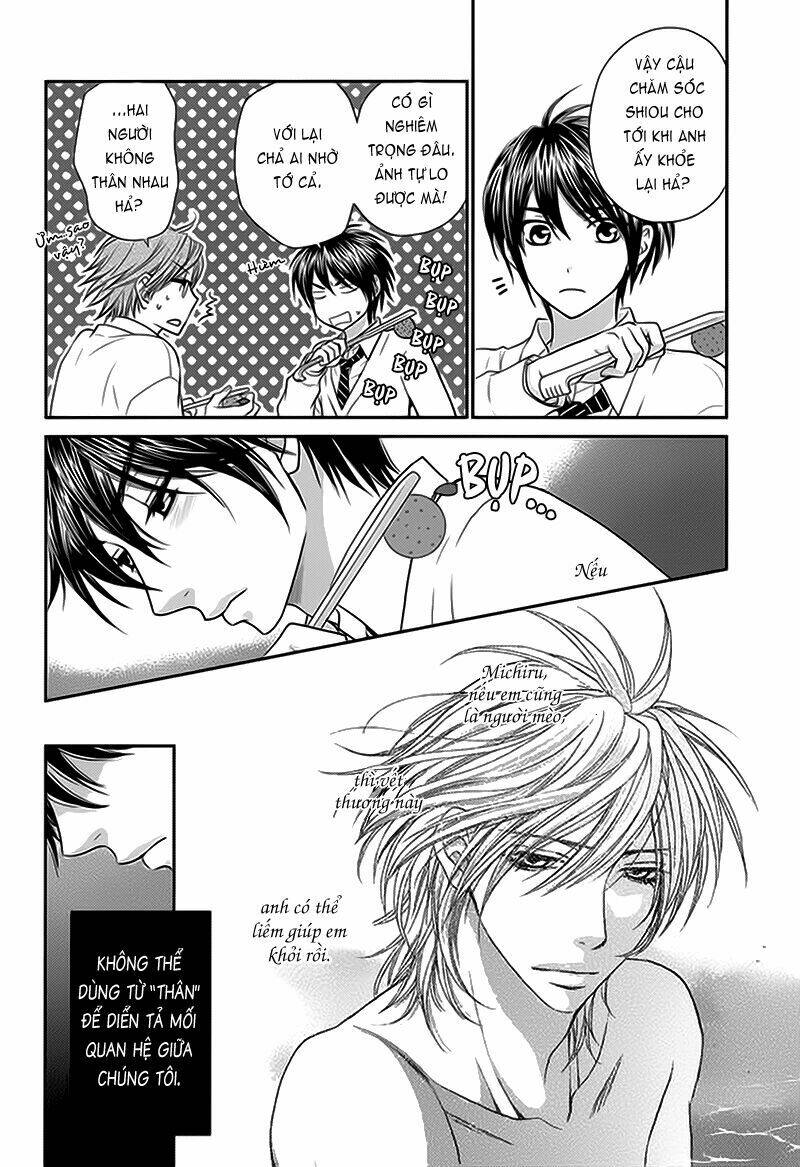 nekoka danshi no shitsukekata chapter 10 14