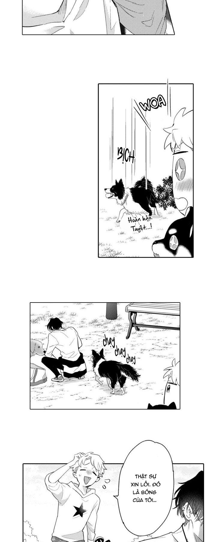 hiyoko-chan to harinezumi-kun chapter 3 15