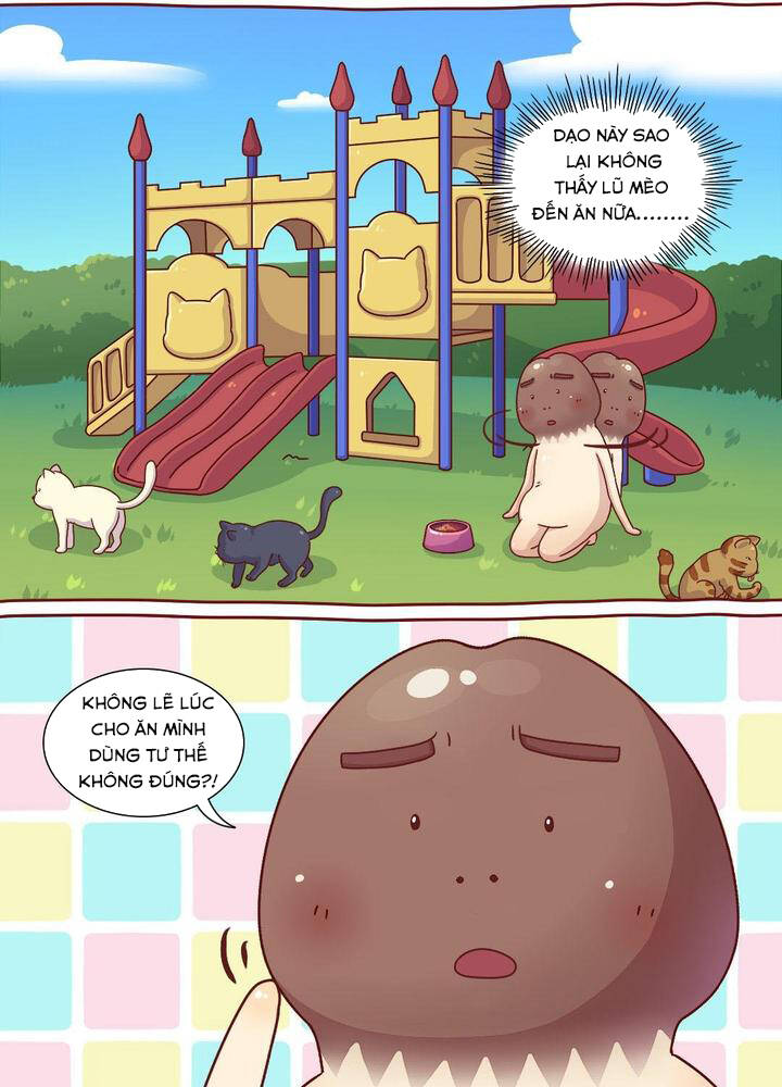 cây nấm kì khả chapter 16 2