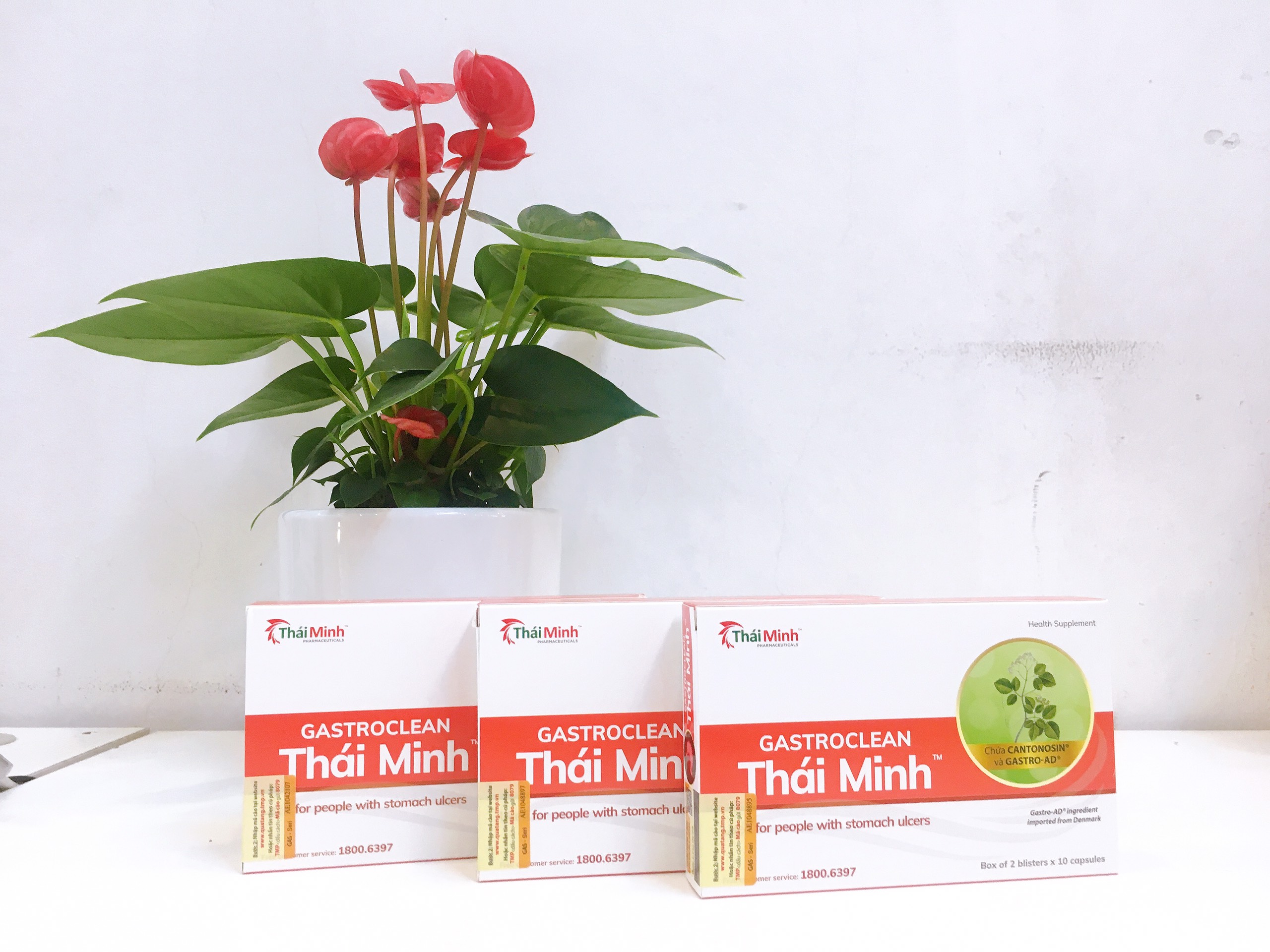 Combo 3 hộp GastroClean - Hỗ trợ giảm acid dịch vị, giúp bảo vệ niêm mạc dạ dày