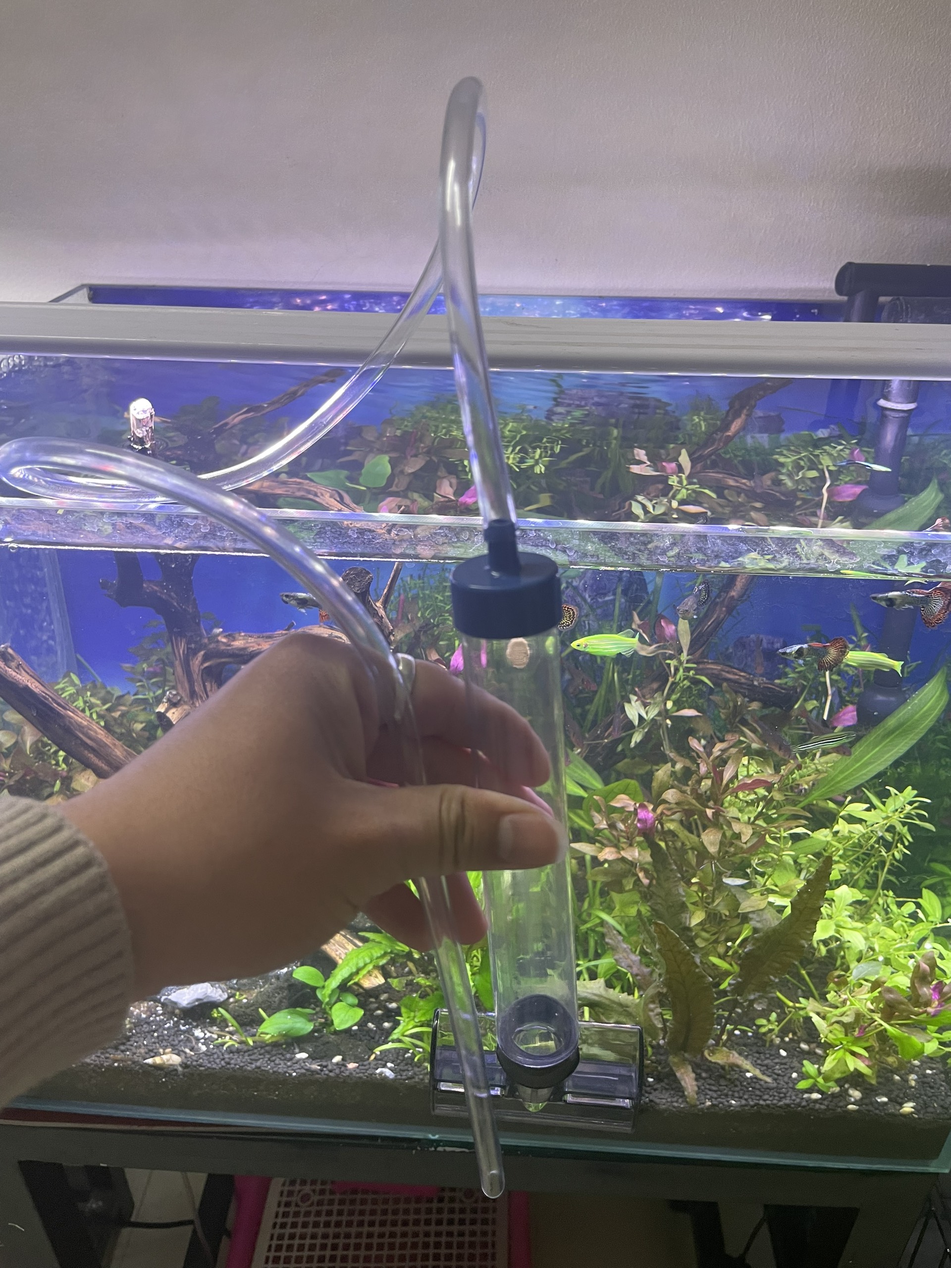 Dụng Cụ Vệ Sinh Jeneca AS-15B và AS-25B - Dụng cụ hút phân cặn, thay nước, có cạo rêu bể cá