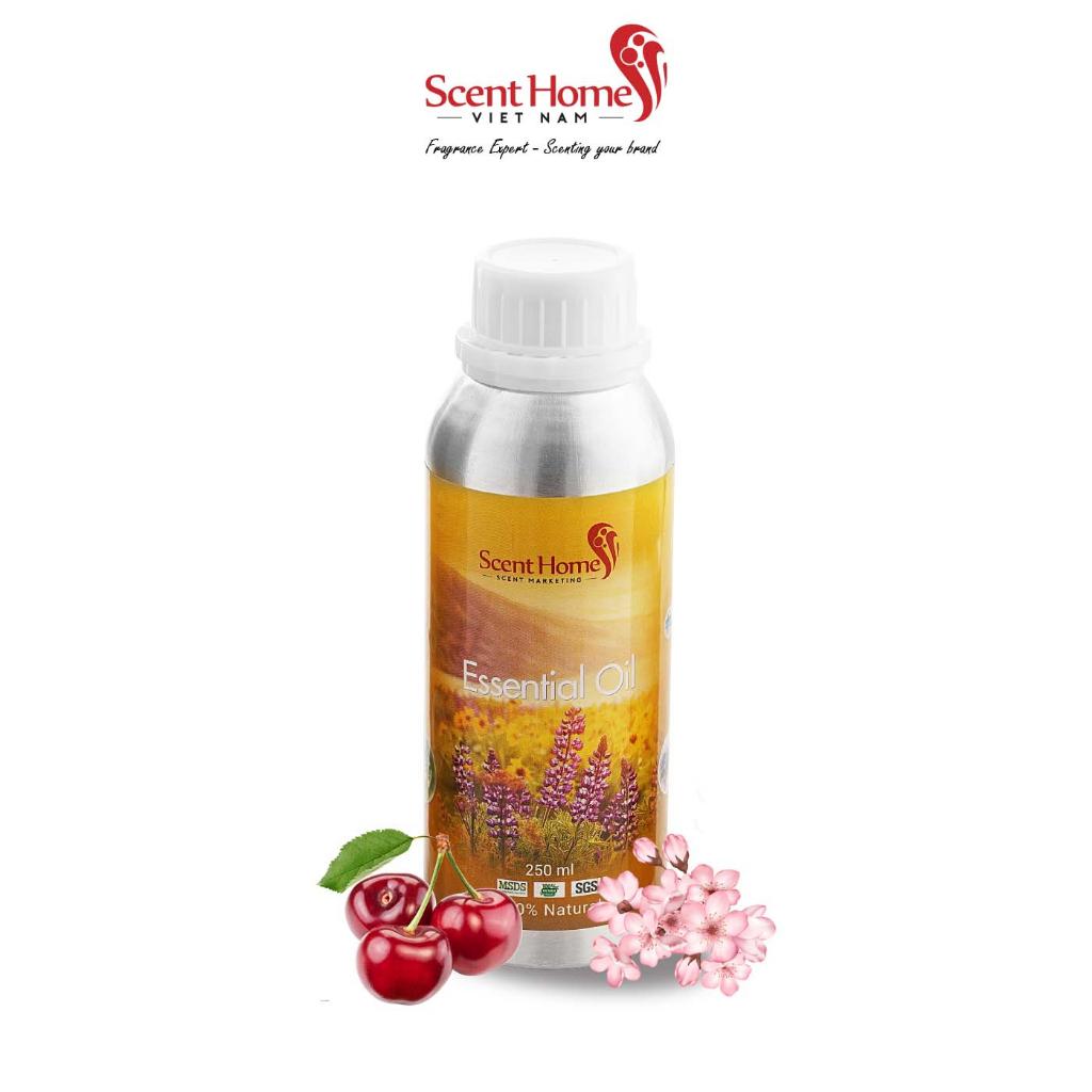 Tinh dầu Scent Homes - mùi hương