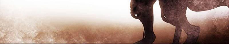 bất bại chân ma chapter 170 12