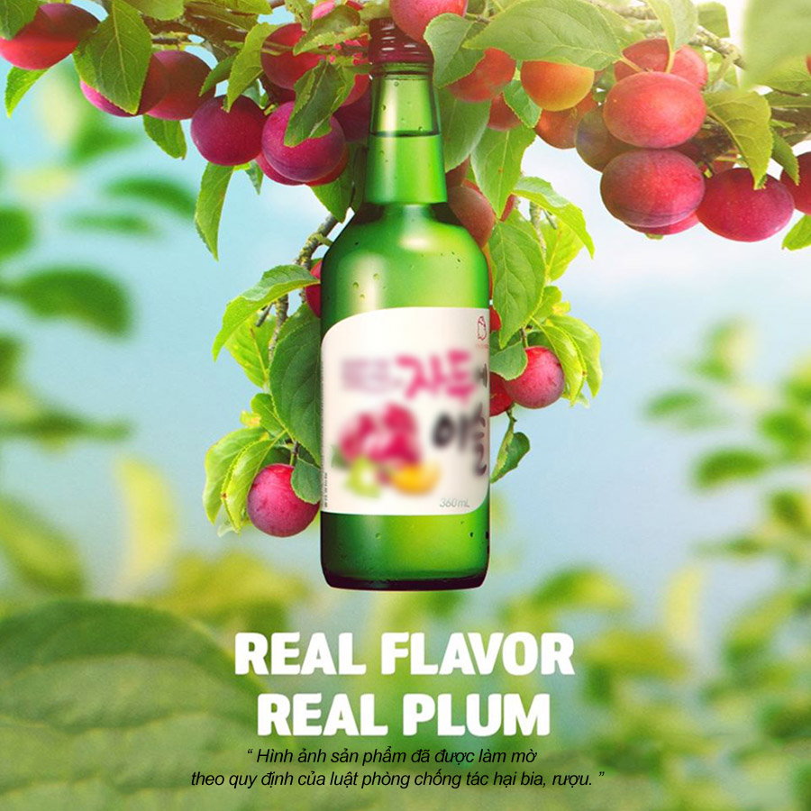 Set 3 chai rượu soju Hàn Quốc 13% - 16.9%: Fresh + Bưởi + Mận Có Hộp