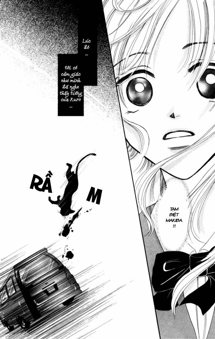 devil cat's temptation chapter 1 4