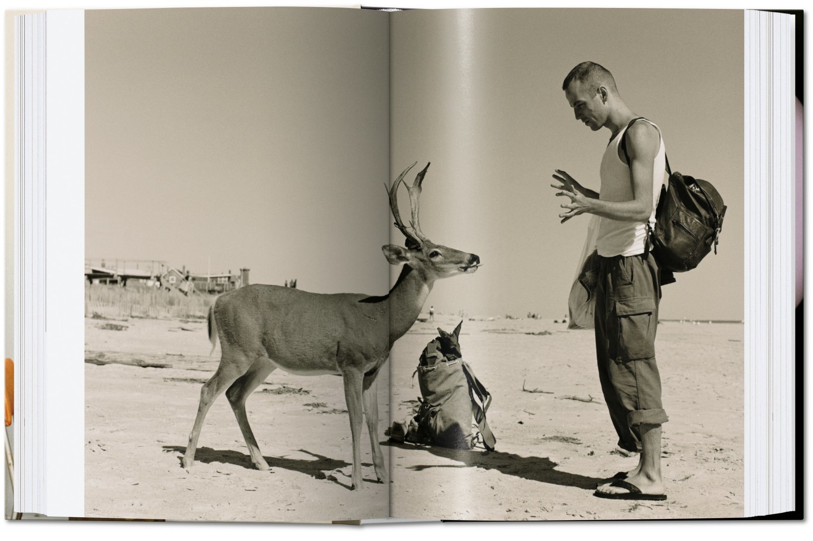 Artbook - Sách Tiếng Anh - Wolfgang Tillmans: four books