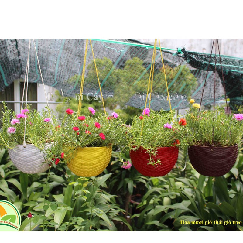 10 CHẬU nhựa treo đan mây,mẫu sang trọng,cứng dày đường kính 22x15cm-77521