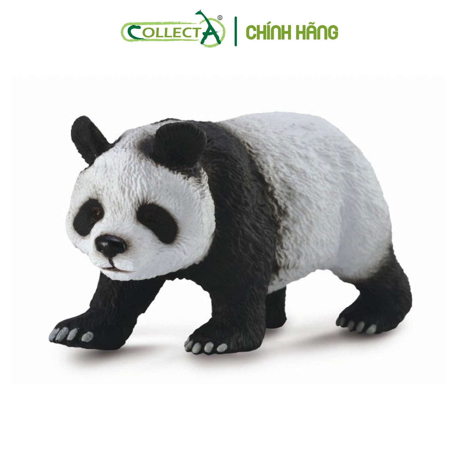 Mô hình thu nhỏ: Gấu Trúc - Giant Panda, hiệu: CollectA, mã HS 9651220[88166] -  Chất liệu an toàn cho trẻ - Hàng chính hãng