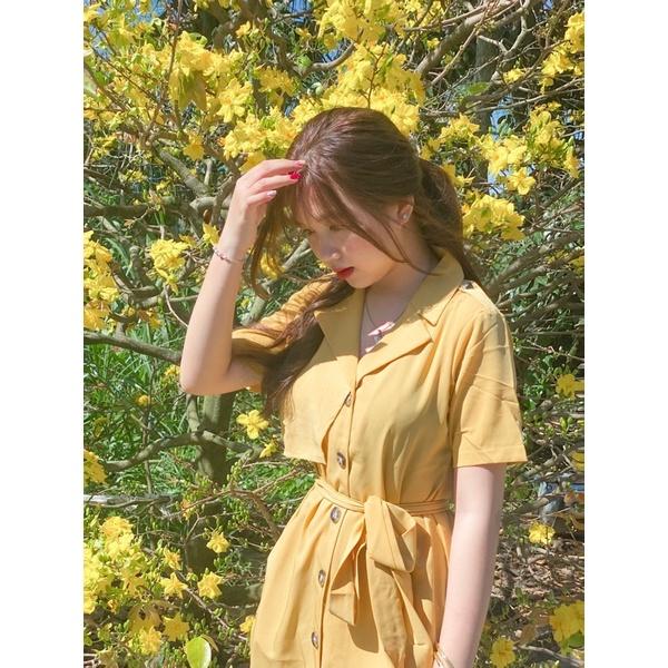 ĐẦM NỮ CỔ VEST CÀI NÚT THẮT NƠ EO THANH LỊCH CÔNG SỞ- Self Belted Shirt Dress- BY BNS CAILY DRESS BND003