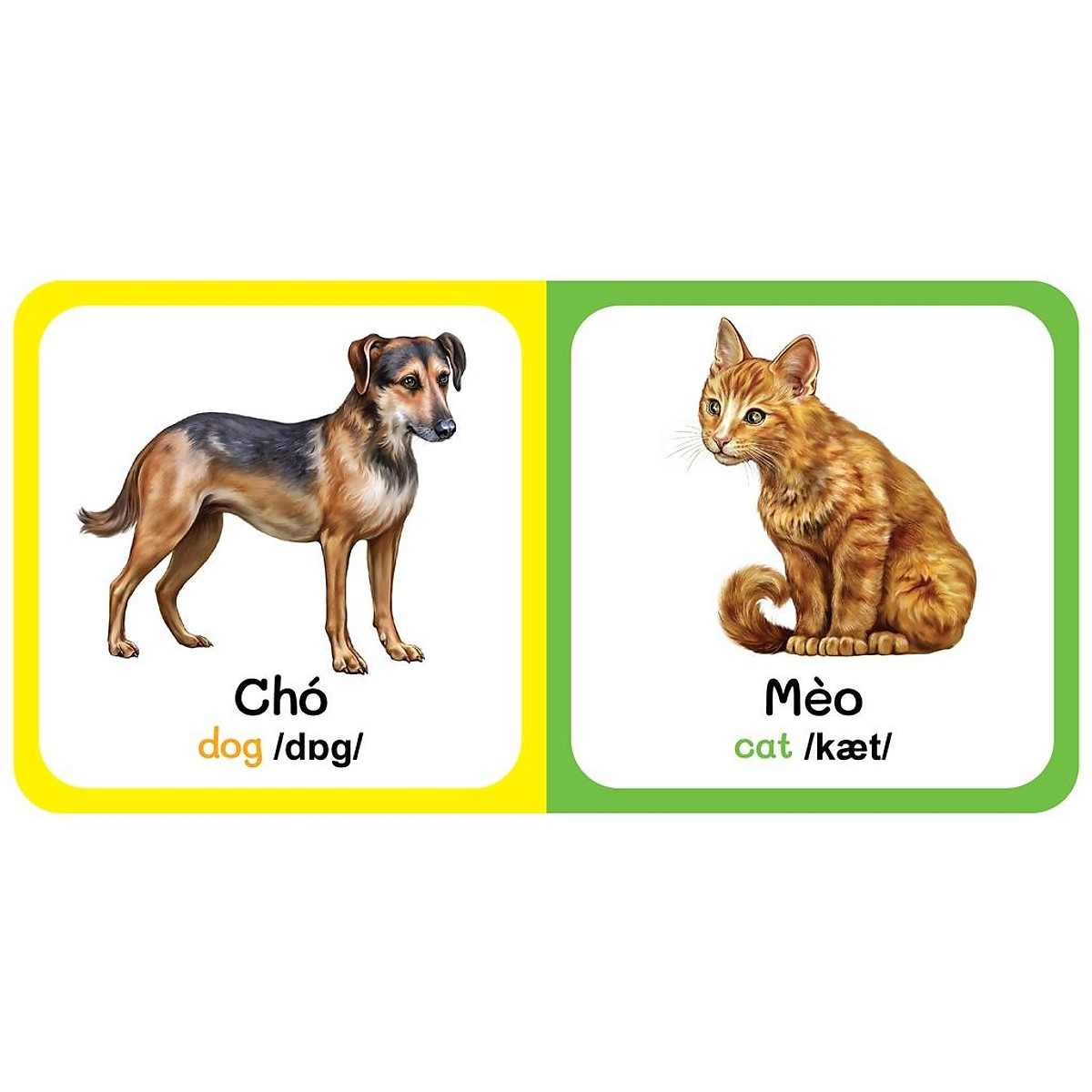 Sách - Baby'S First Picture Dictionary - Từ Điển Bằng Hình Đầu Tiên Của Bé - Động vật Nuôi - Farm AniMals