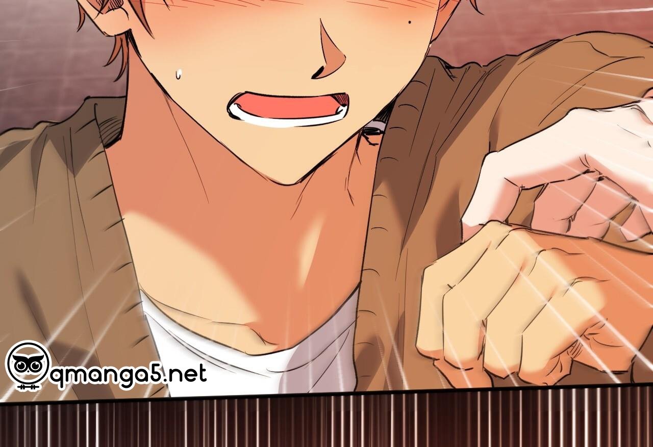 những chú thỏ của hapypy chapter 62 185