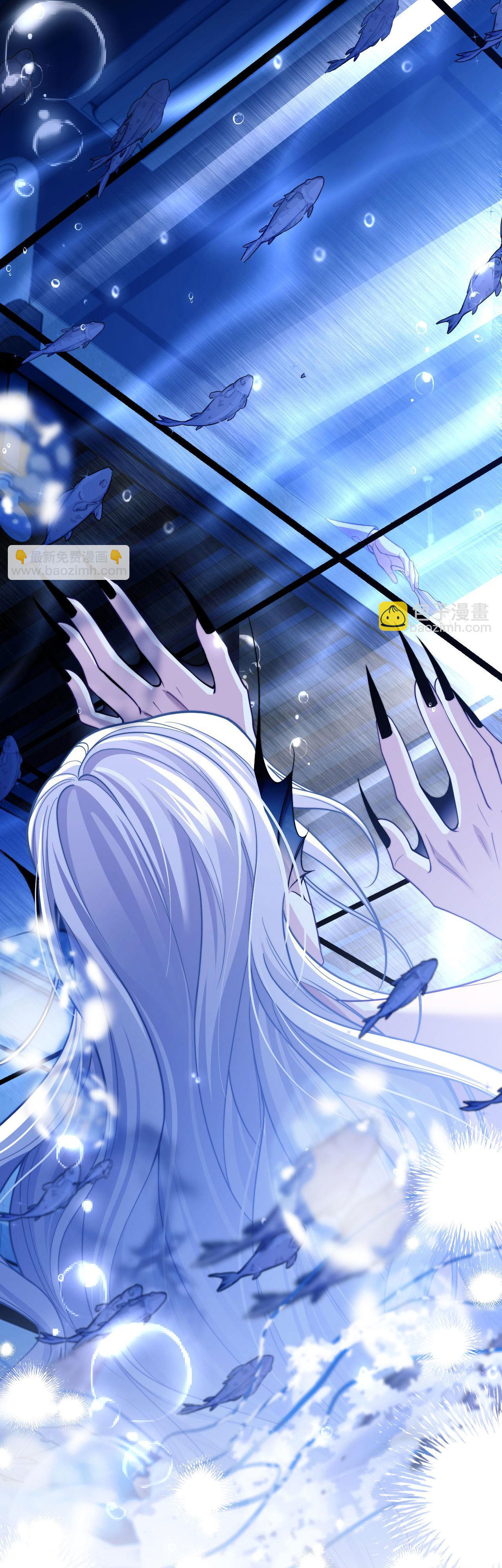 nhân ngư dessaro chapter 17 16