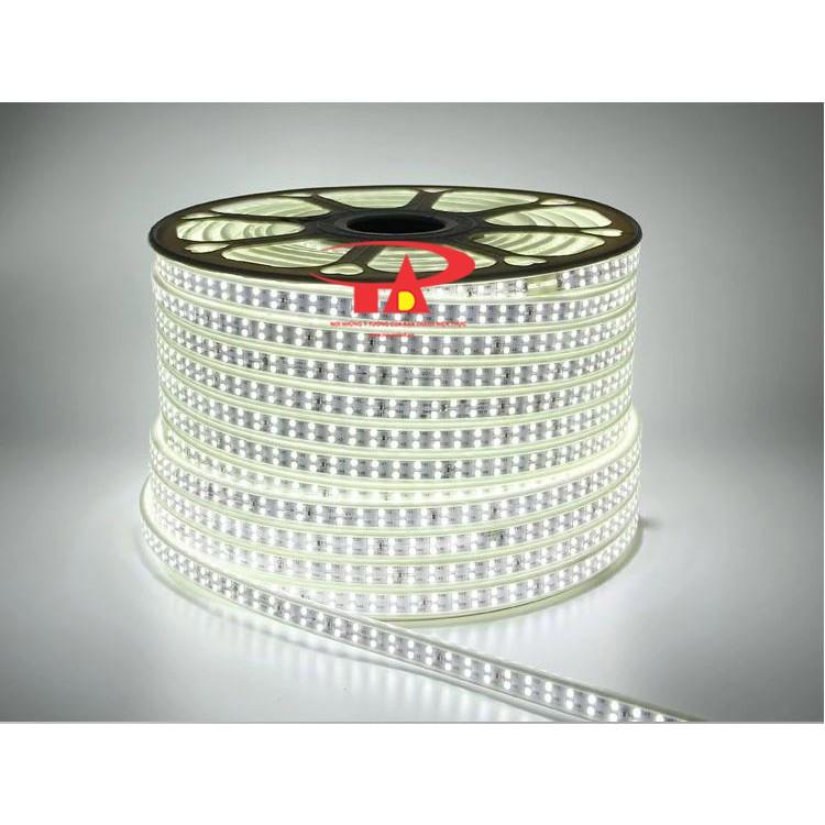 Đèn led dây 2835 cuộn 100m 220v