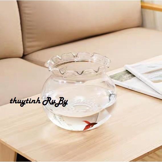 Bể Cá Thủy Tinh Để Bàn, Hồ Cá Mini, Chậu Cây Thủy Sinh B11