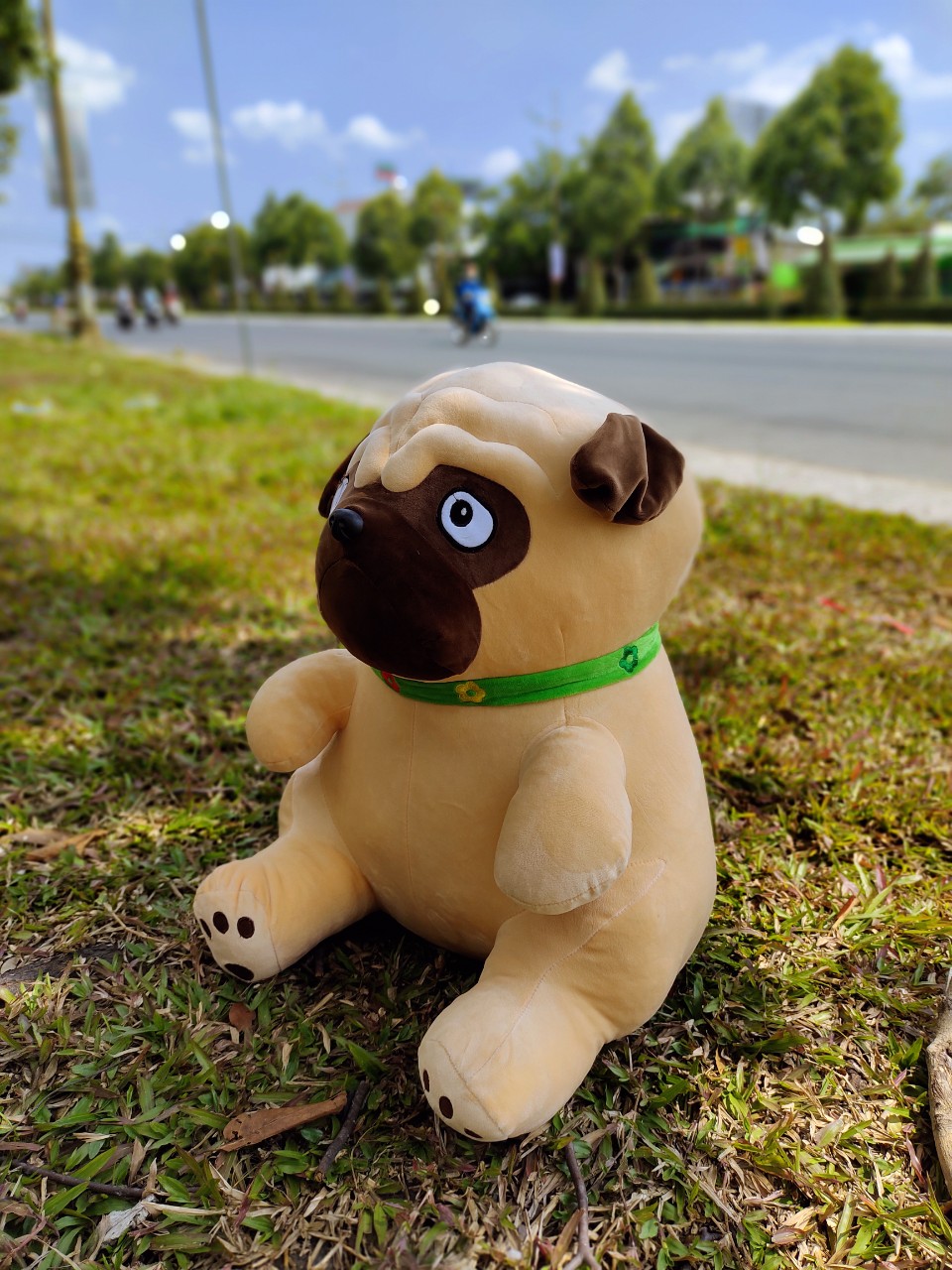 Gấu bông chó mặt xe pug gối ôm nhồi bông chất liệu vải thun 4 chiều cao cấp hàng việt nam size 55cm