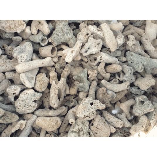 200g - San Hô Lọc Nước Bể Cá Cảnh