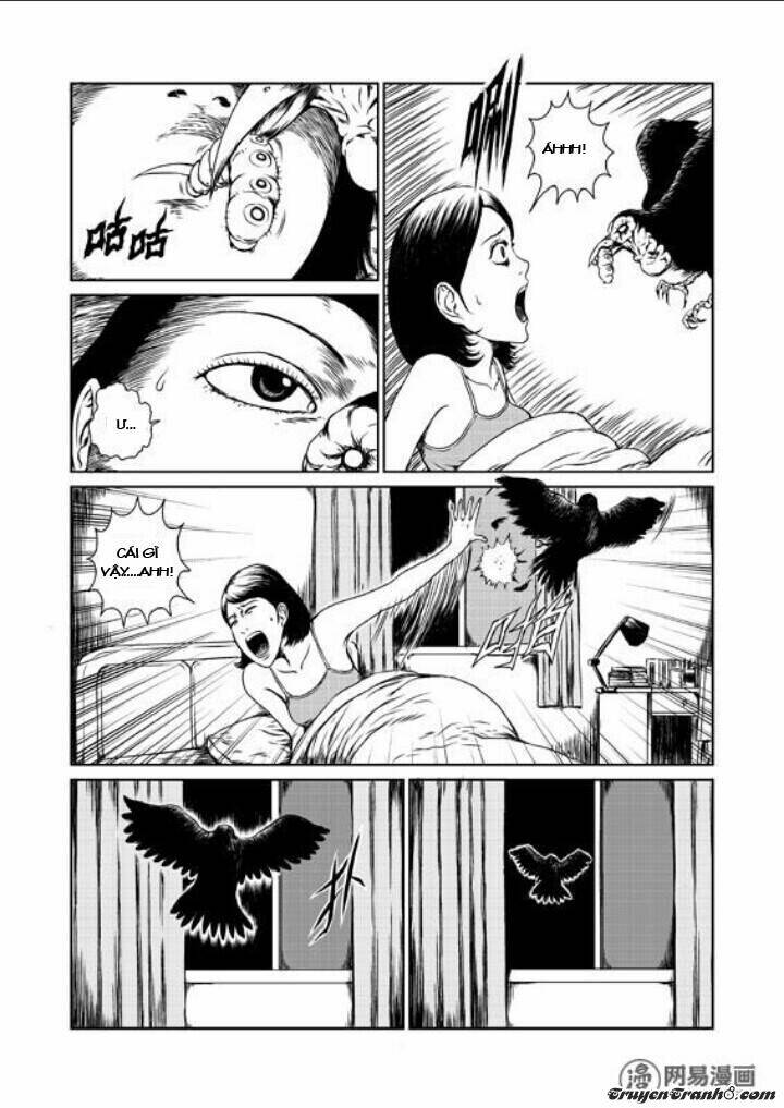 tổ chim chapter 1 9