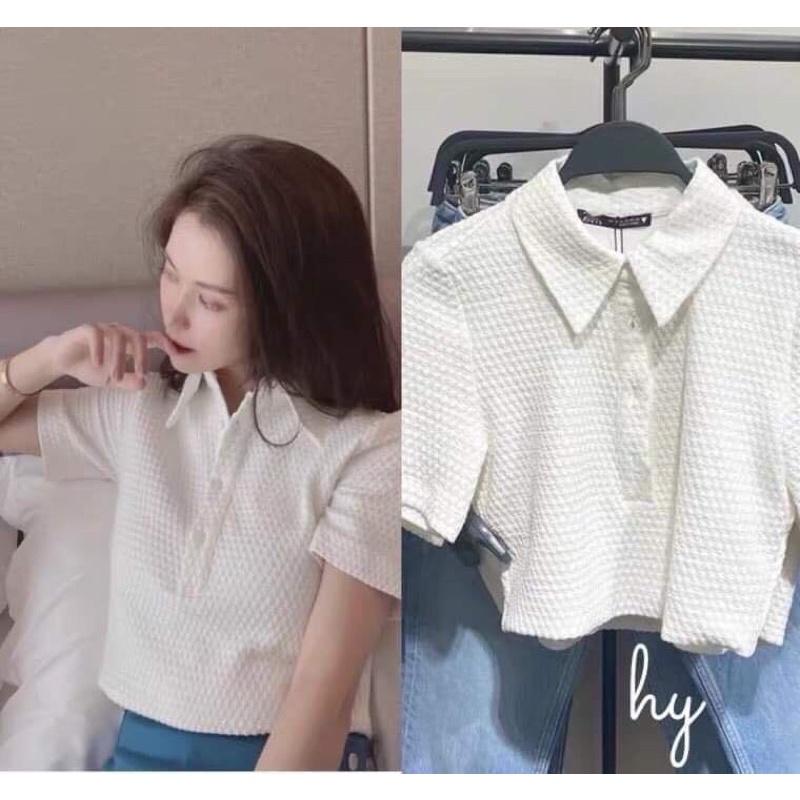 Áo polo croptop hàng ên dáng cực kì Vải dư lạ mắt mặc dãn và mát nha 