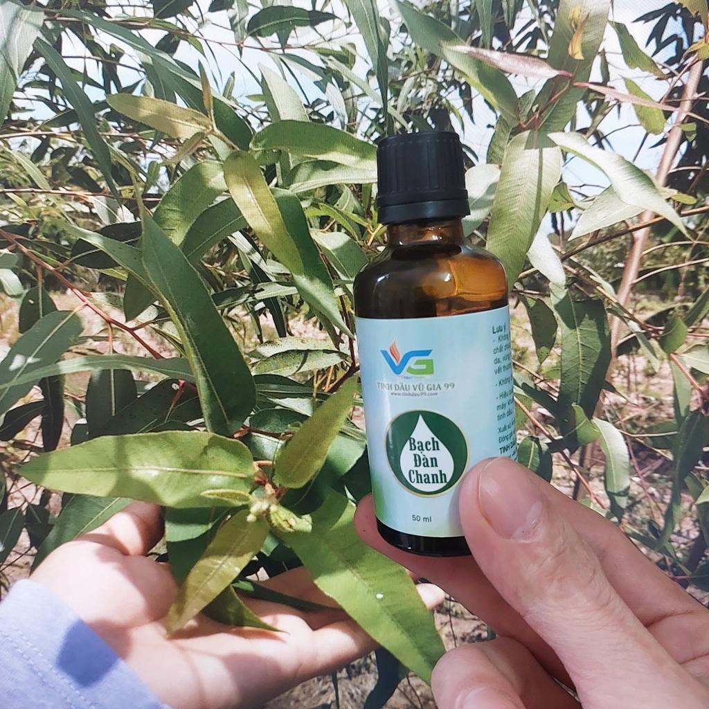Tinh dầu bạch đàn chanh nguyên chất 10ml 20ml 50ml