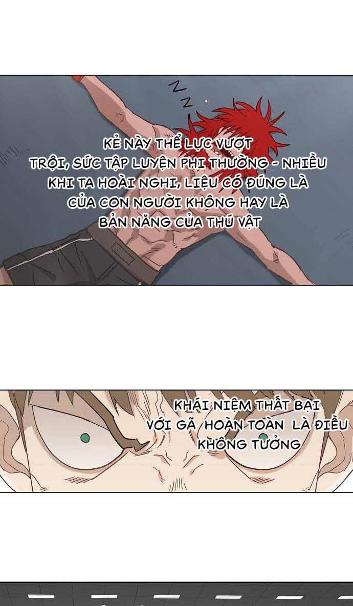 Võ Sĩ Quyền Anh chapter 20 43