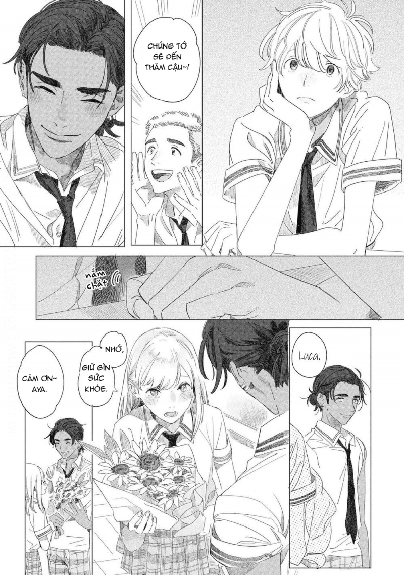 đất nước của những chú sư tử chapter 5 5