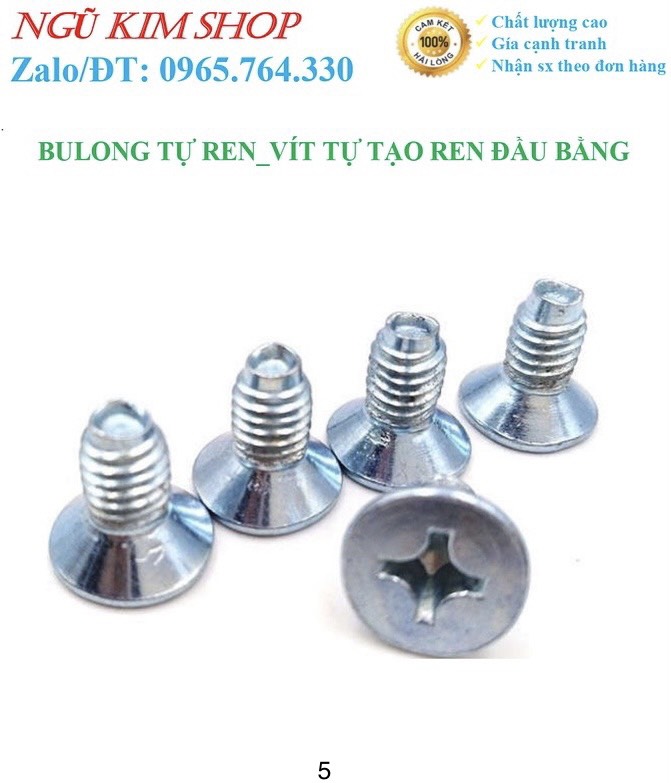 BULONG TỰ REN _ VÍT TỰ TẠO REN ĐẦU BẰNG