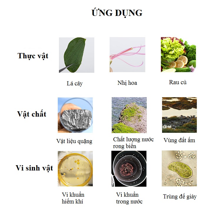 Kính hiển vi để bàn chuyên dùng trong y tế, quan sát các vật thể sinh vật M2