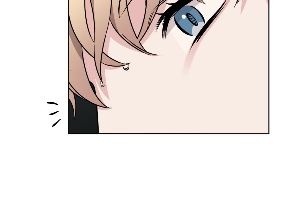 luân đôn trong màn đêm chapter 11 74