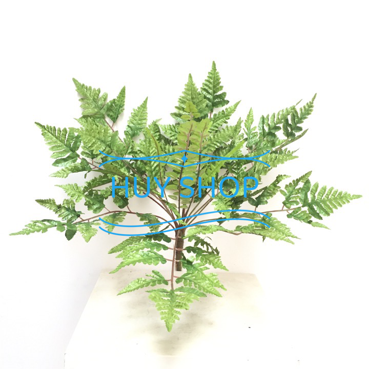 HOA CỎ NHÂN TẠO - BỤI LÁ DƯƠNG XỈ TRANG TRÍ BACKGROUND