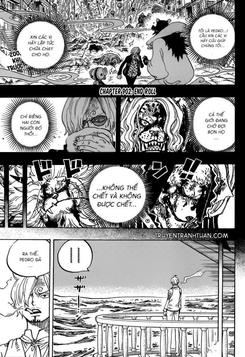 đảo hải tặc - one piece chapter 902 3