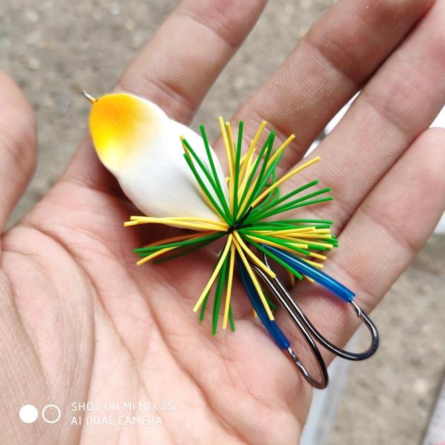 Nhái nhẩy gỗ câu lure mồi cực nhậy y hình