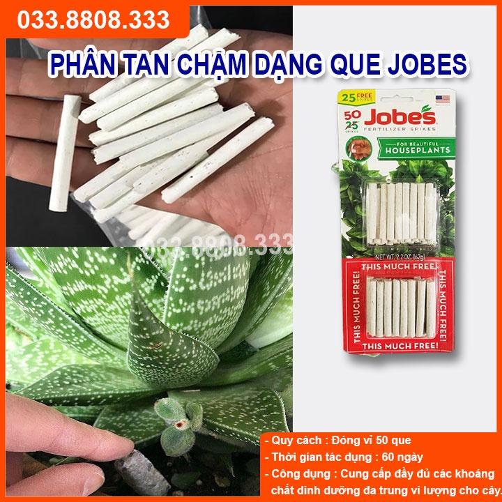 PHÂN BÓN QUE JOBES DÀNH CHO HOA LAN CÂY CẢNH