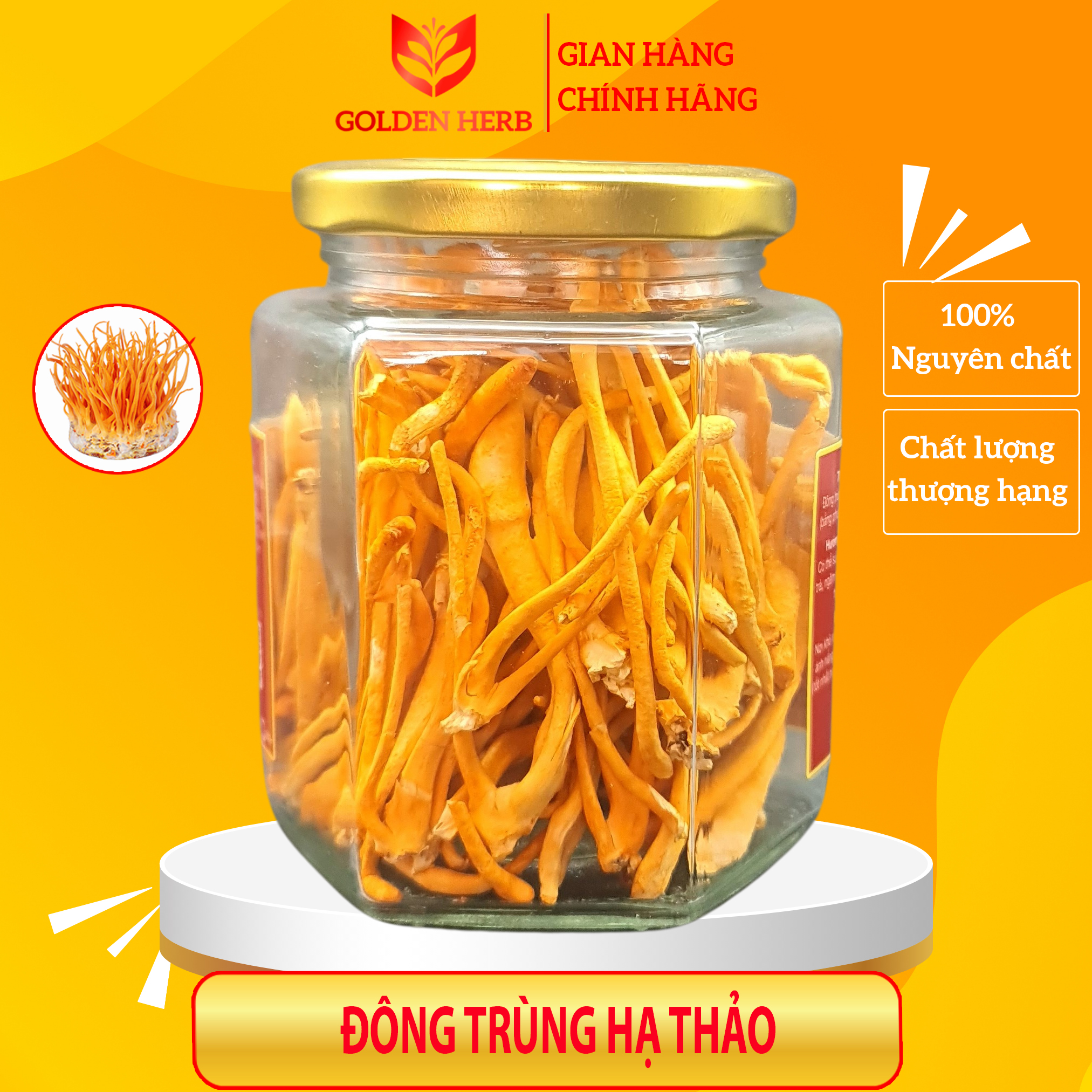 Đông trùng hạ thảo thượng hạng sấy khô 20gr/hũ