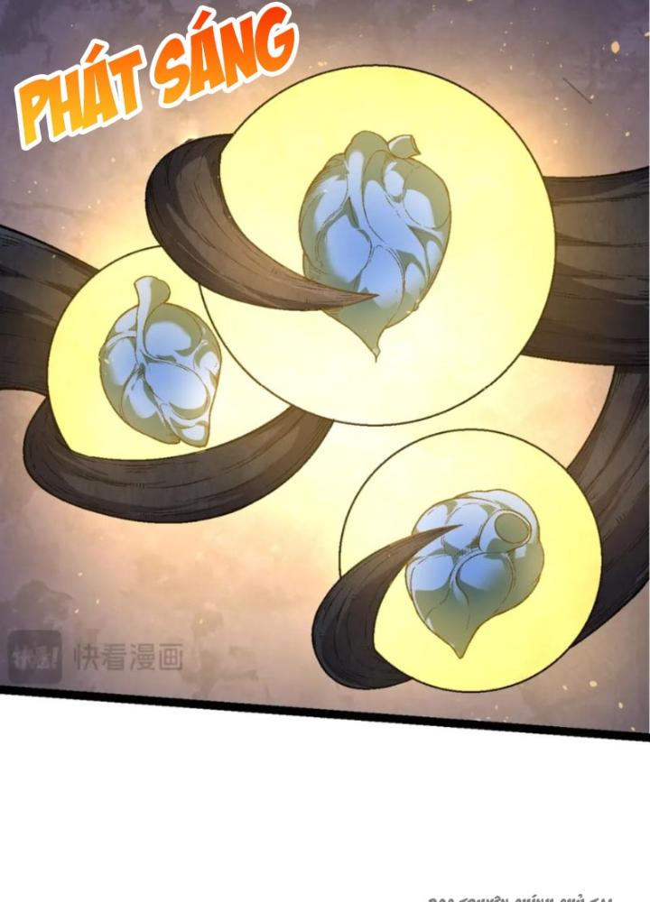 từ cây cổ thụ bắt đầu tiến hóa chapter 97 124