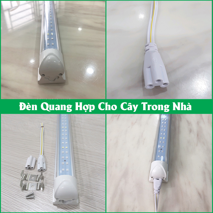 Đèn Quang Hợp Trồng Cây Trong Nhà Green Smart Light 30W (đèn dài 1.2 mét) được ứng dụng rộng rãi như trồng rau sạch tại nhà, trồng cây cảnh trong nhà, cây văn phòng, trồng rau thủy canh, các mô hình nuôi cây mô và cây con