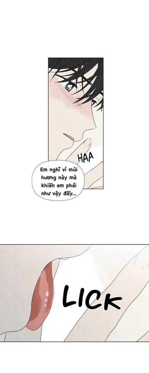 summer solstice point chapter 14 10